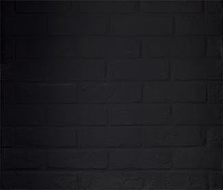 Majestic Black Onyx Traditional Refractory Set for Biltmore and Cottagewood 50" Wood Burning Fireplaces